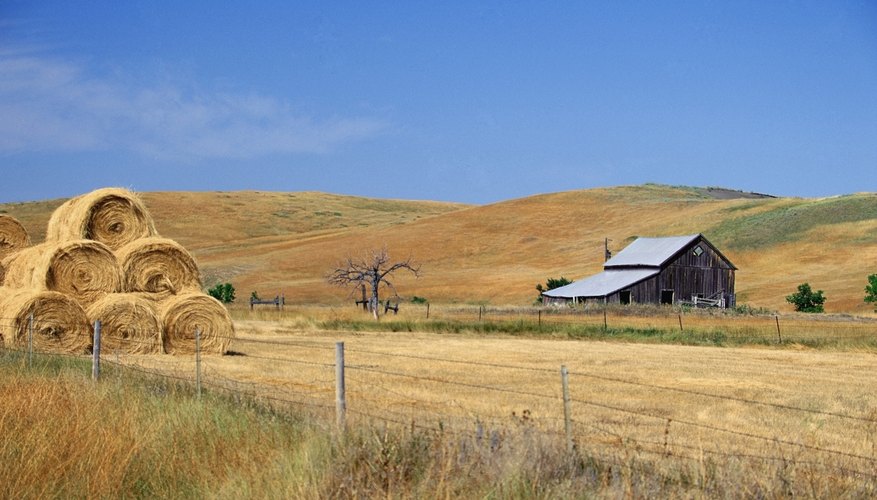 The Provisions of the Homestead Act of 1862 | Pocket Sense