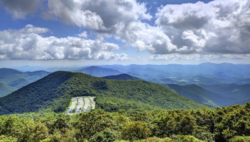 Appalachian Plateau Animals and Plants | Sciencing