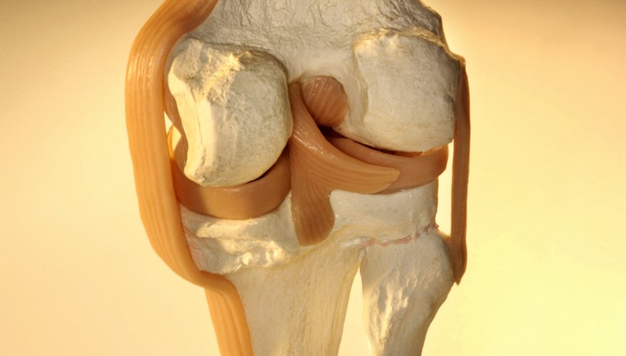 Photo Credit: Thinkstock/Stockbyte/Getty Images Bone, ligaments, tendons and cartilage are all examples of connective tissue.