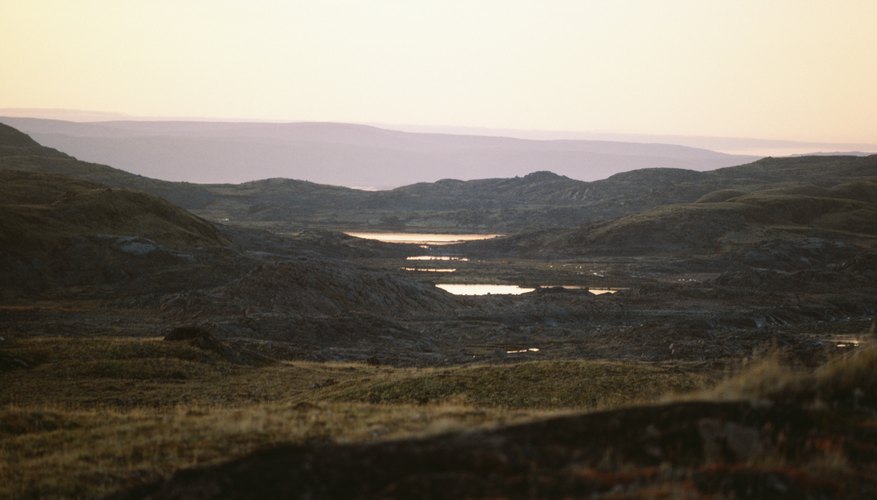 Photo Credit: Photos.com/Photos.com/Getty Images The Arctic tundra, the most common tundra on earth, during the brief growing season
