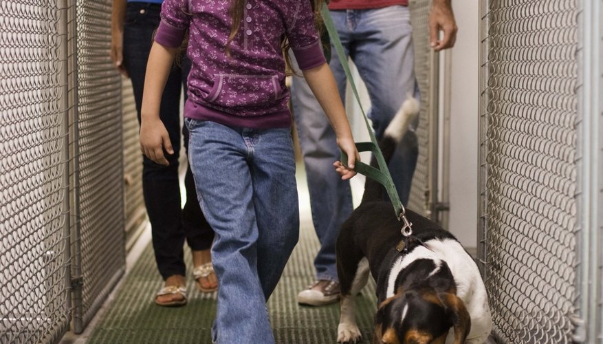 Do a home check before you place rescued animals with new owners.