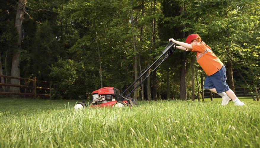 Mowing the lawn and yard work. Mowing the lawn and yard work.