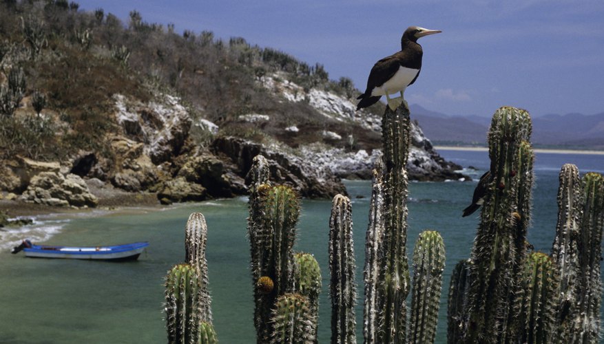 El golfo de México es uno de los rincones más bonitos del mundo.