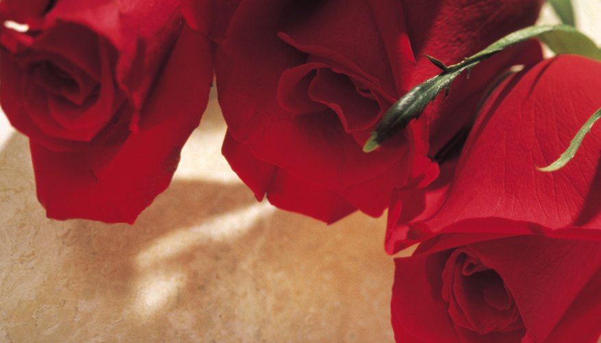 Considera dar 18 rosas rojas en un florero de porcelana como un regalo de aniversario número 18.