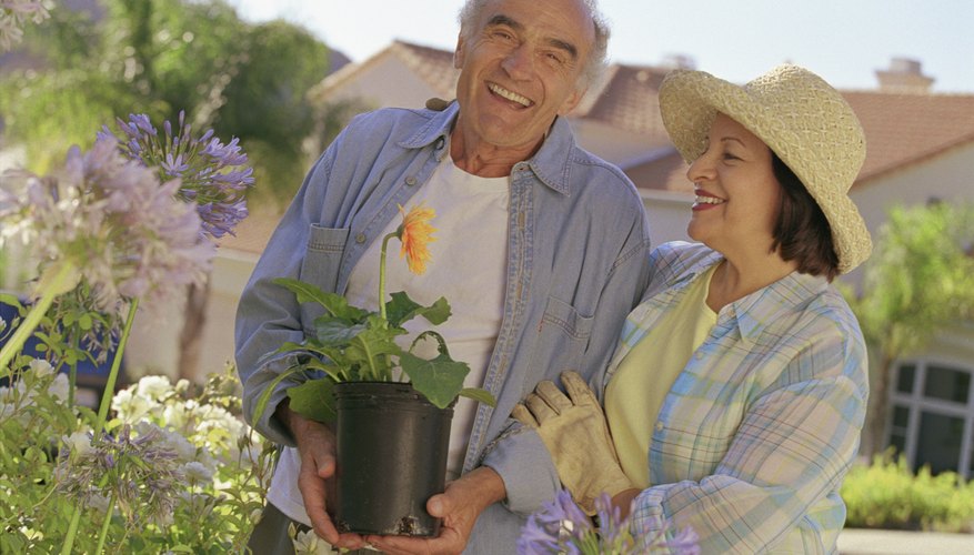Replacement ratio and adjusted expenses are models used to determine target retirement income amounts.