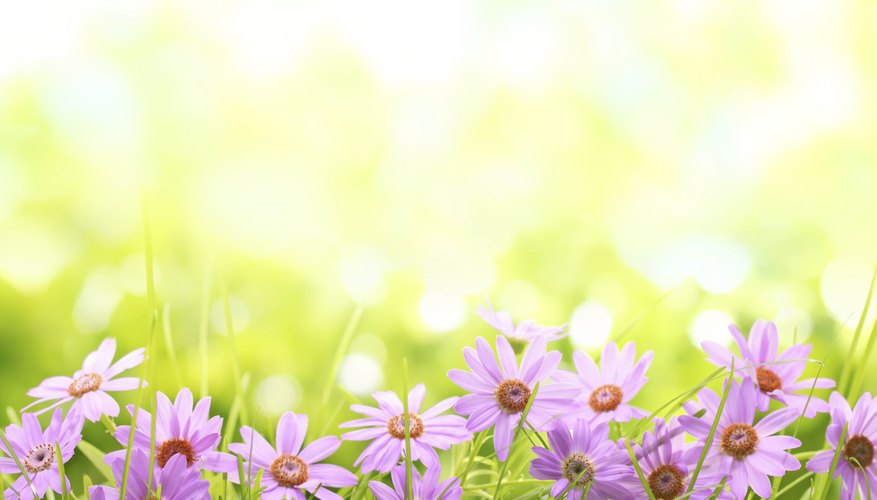 Photo Credit: Liang Zhang/iStock/Getty Images Different pigments reflect different wavelengths.