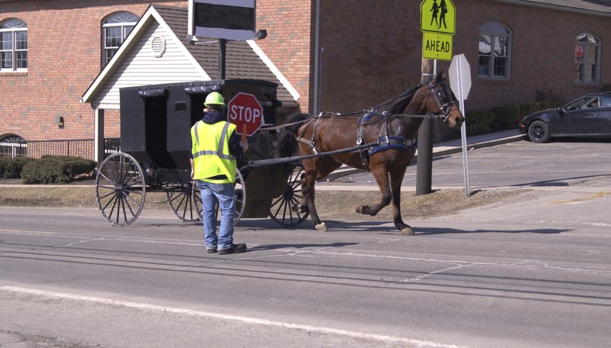 Amish buggy being directed in construction.
