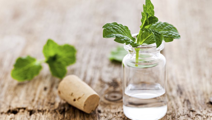 Photo Credit: CGissemann/iStock/Getty Images Peppermint