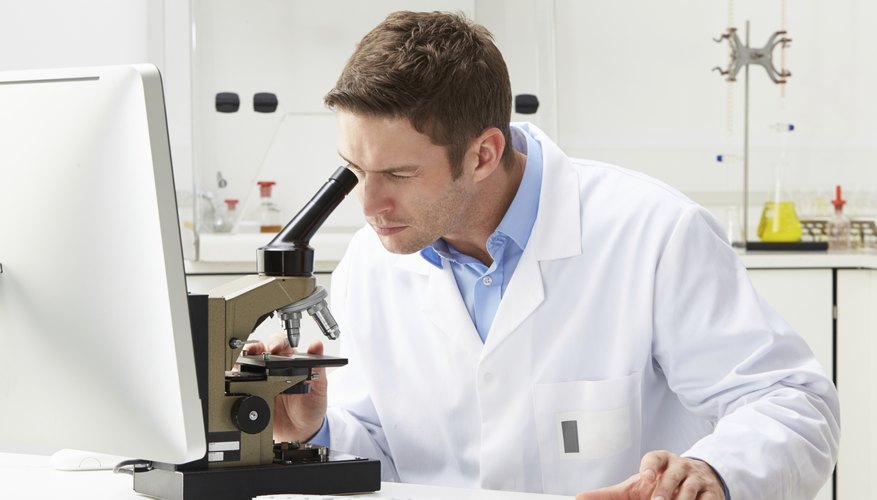 El cuerpo humano está compuesto de células microscópicas.