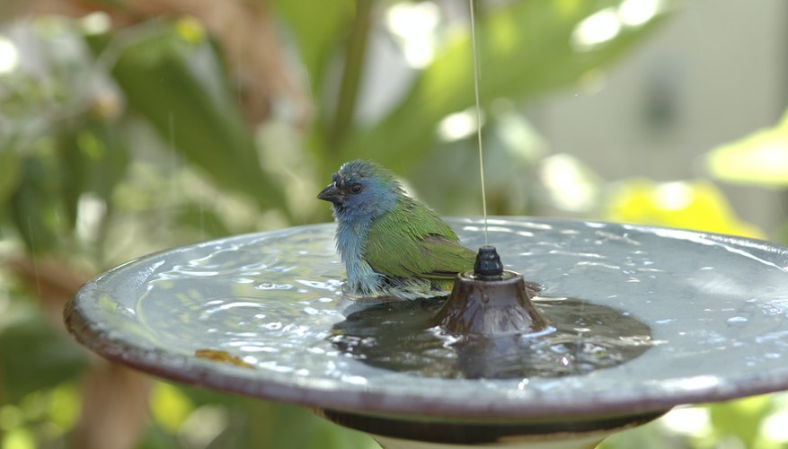 A bird is taking advantage of a bird bath. A bird is taking advantage of a bird bath.