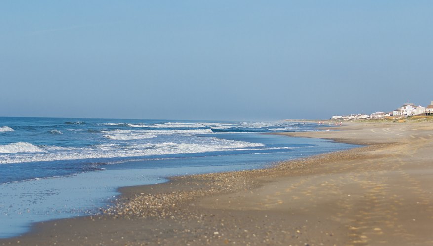 The Best North Carolina Beaches For Shells Gone Outdoors Your