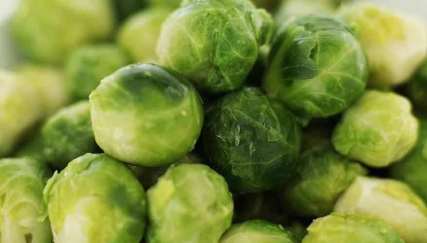 A bowl of Brussels sprouts. A bowl of Brussels sprouts.