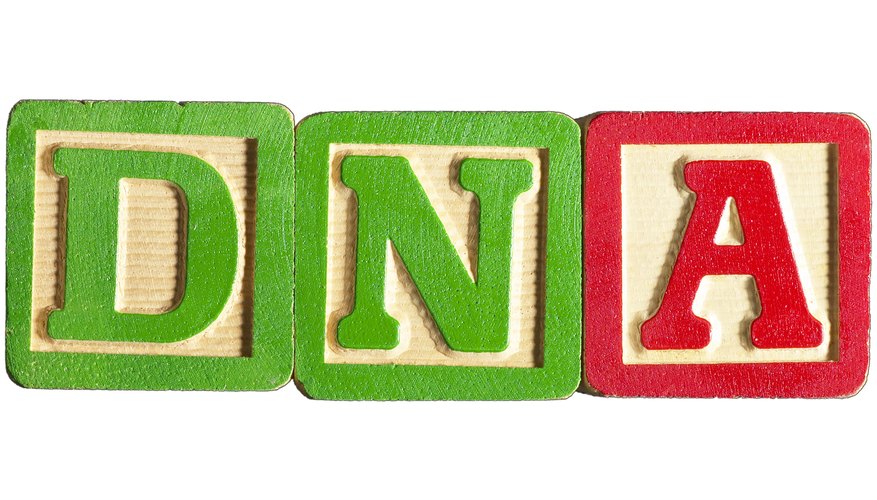 Introduce a los niños a la genética y al ADN con actividades divertidas.