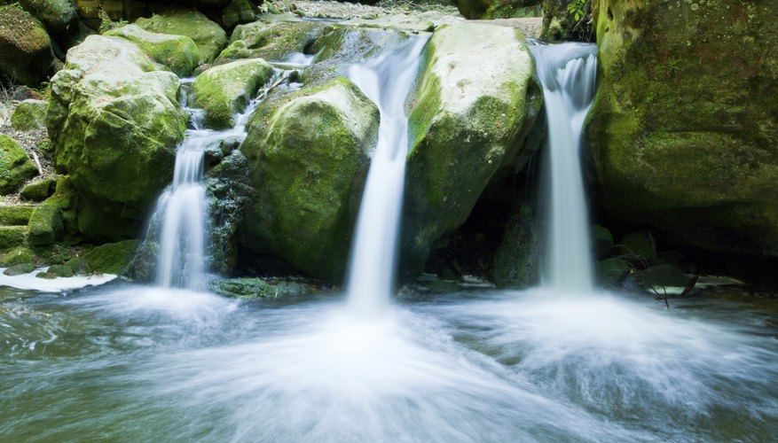 definition-of-an-aquatic-ecosystem-sciencing