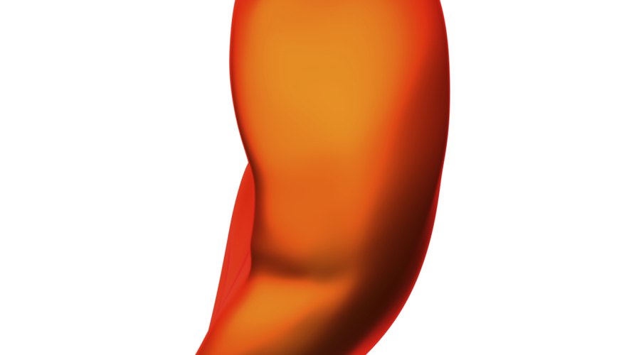 Human spleen isolated. Human spleen isolated.