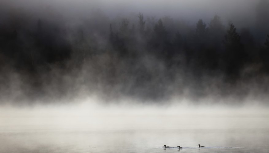 How Does Fog Form? Sciencing