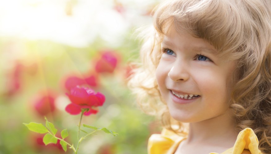 Smiling young child Smiling young child