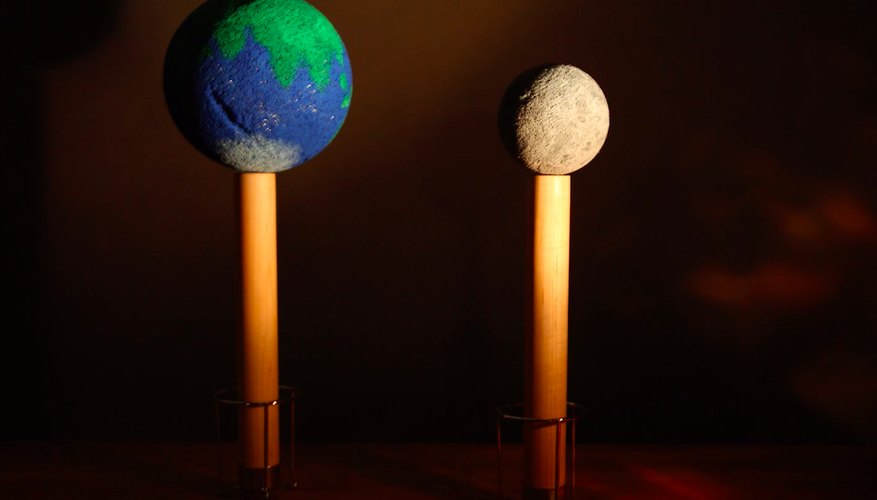 Photo Credit: Sciencing