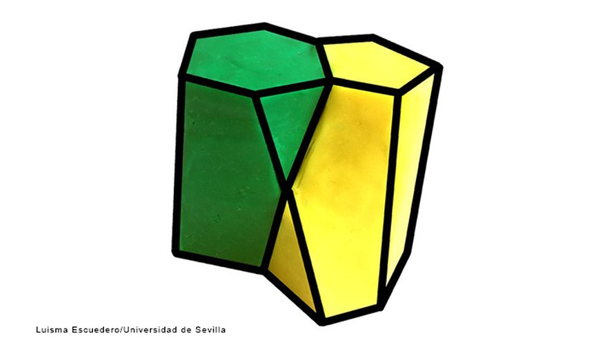Photo Credit: Luisma Escuedero/Universidad de Sevilla With a hexagon on one side and a pentagon on the other, the scutoid looks like a prism with one corner chopped off.