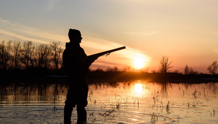 When Does Duck Season Start in Texas? 10Best