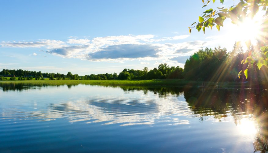 different-sources-of-water-sciencing