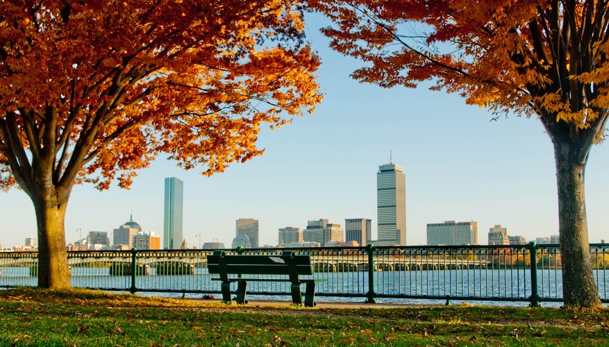 Everything You Need to Know About Boston