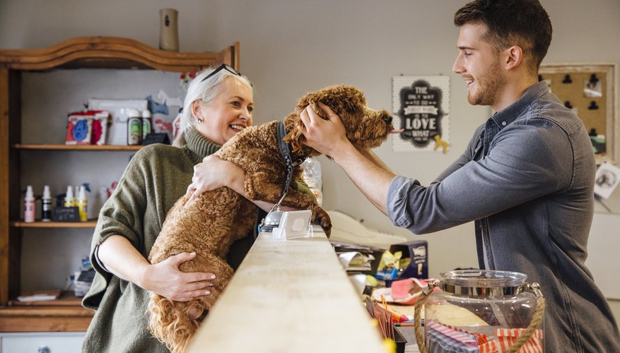 Can I Deduct Pet Daycare for Business Travel?