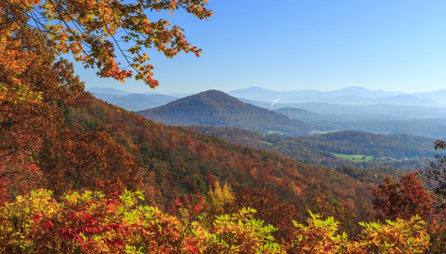 when-do-the-leaves-change-in-north-carolina-10best