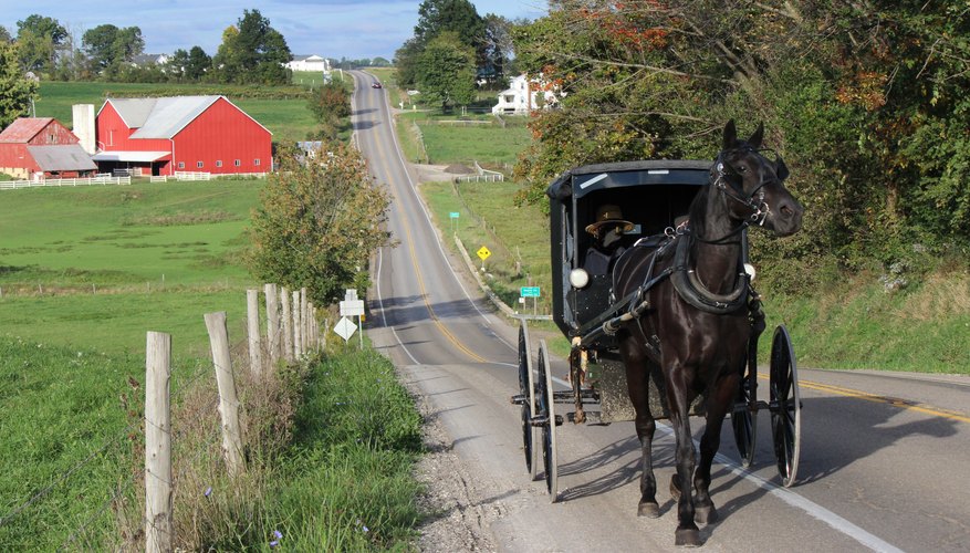 Best Time to Visit Amish Country, PA