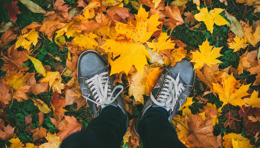 Photo Credit: leskas/iStock/GettyImages