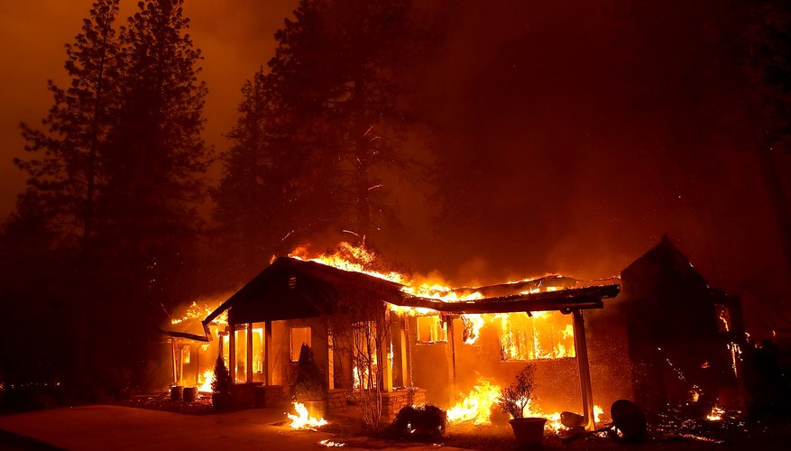 Photo Credit: Justin Sullivan/Getty Images News/GettyImages