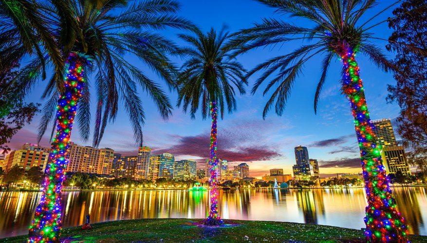 What Is The Cheapest Time To Go To Orlando Florida