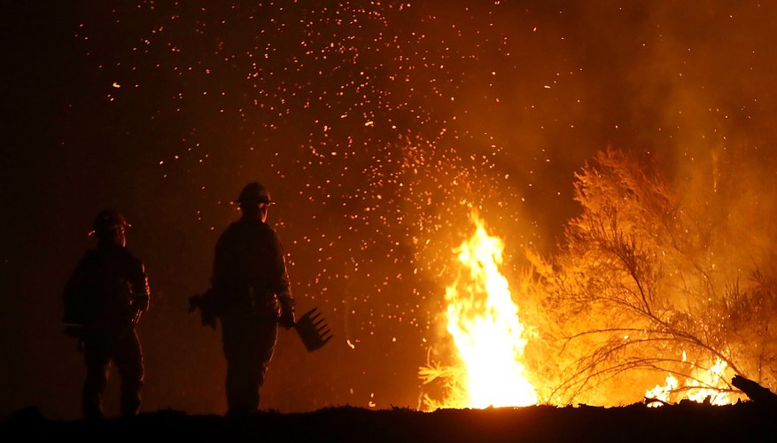 Photo Credit: Justin Sullivan/Getty Images News/GettyImages Busting the President’s Biggest Myths About the California Wildfires