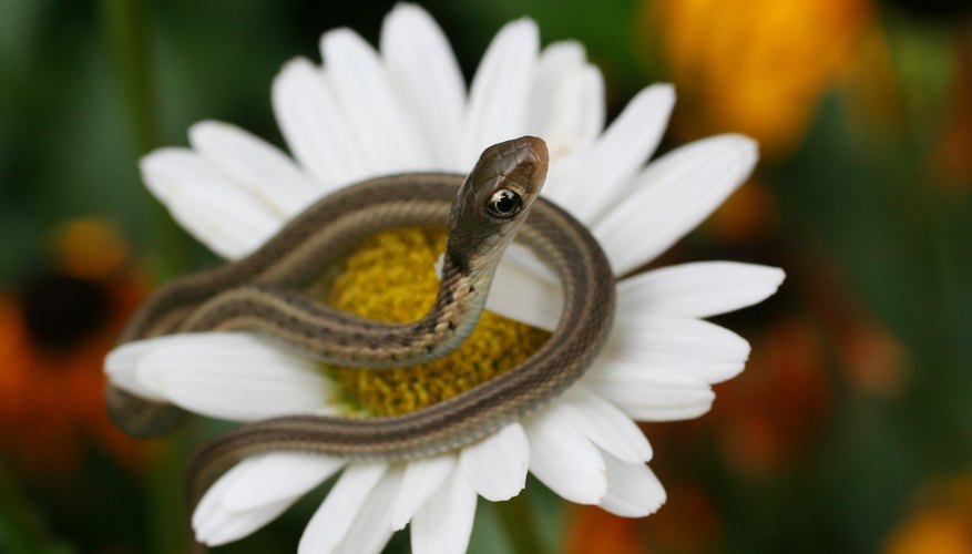 Photo Credit: db_beyer/iStock/GettyImages