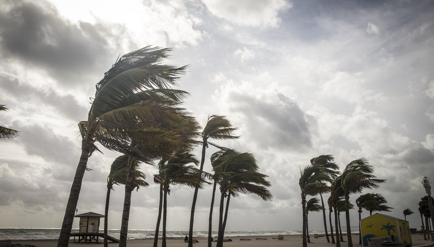 What Are Some Positive Effects of a Hurricane? Sciencing