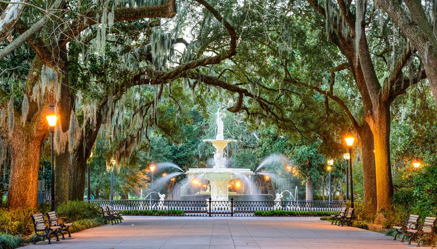 Tips for Planning Romantic Getaways in Savannah, GA