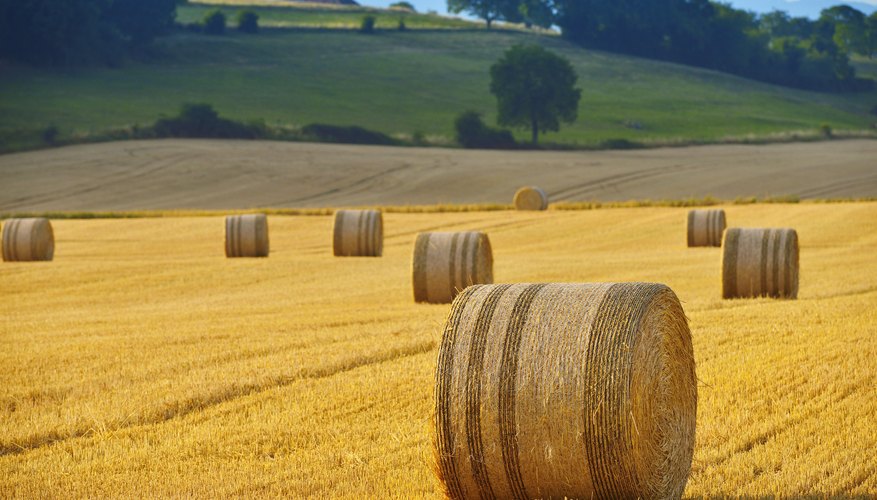 The Difference Between a Bale and a Roll of Hay