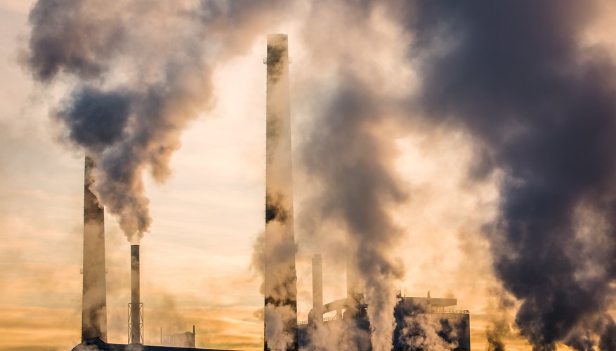 Atividades humanas que afetam o ecossistema