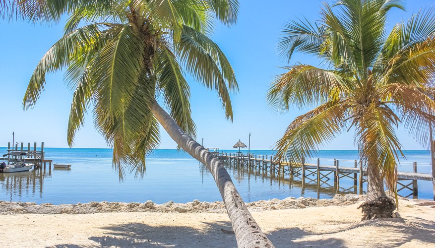 Best Time to Visit the Florida Keys (Weather, Crowds, and More) 