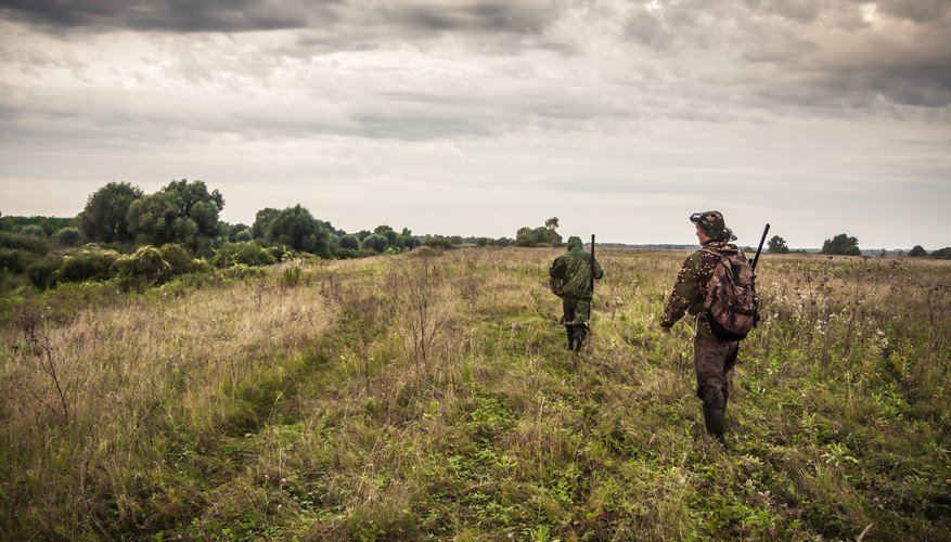 When Does Hunting Season Start in Virginia?