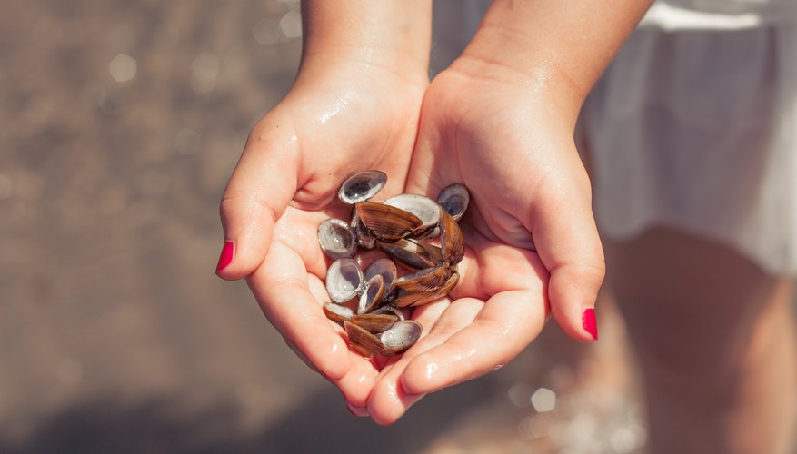 How Much Does A Marine Biologist Make Mom Life