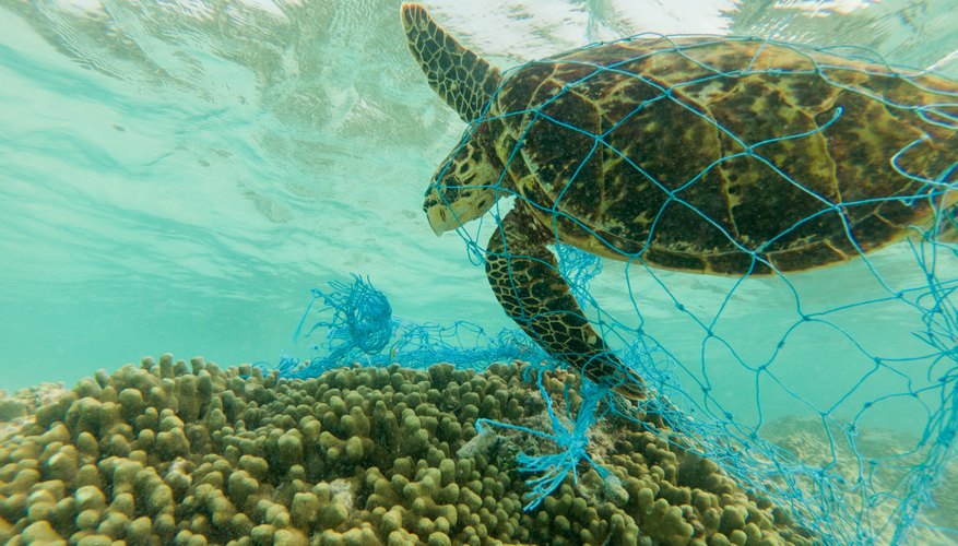 Advantages & Disadvantages of Ocean Dumping | Sciencing