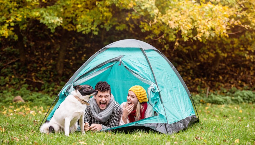 Tips for Camping With Your Dog