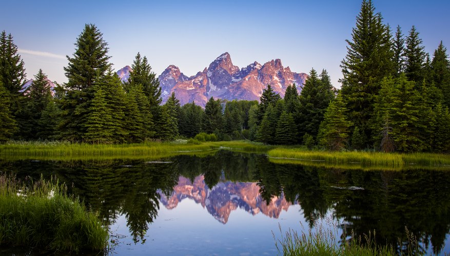 ventajas-y-desventajas-de-los-entornos-naturales-portal-multimedia