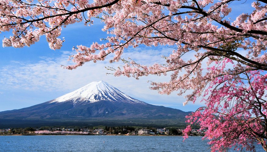 Best Times to Visit Japan