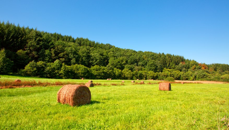 how to write a letter of interest for land bizfluent writing a letter of interest