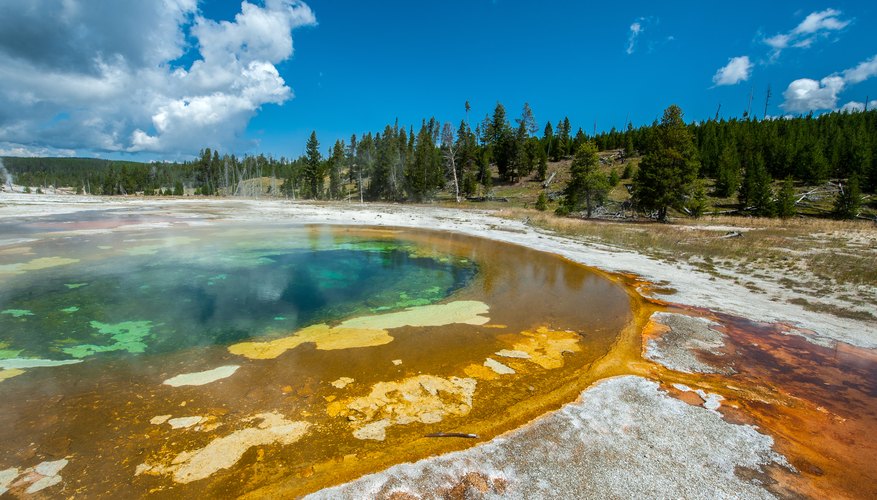 Tips for Choosing Where to Camp in Yellowstone