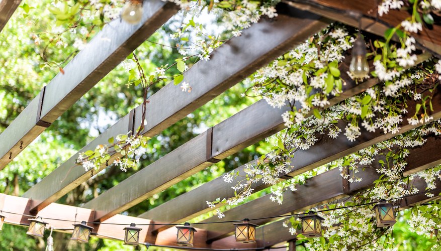 The History Of Brush Arbors The Classroom