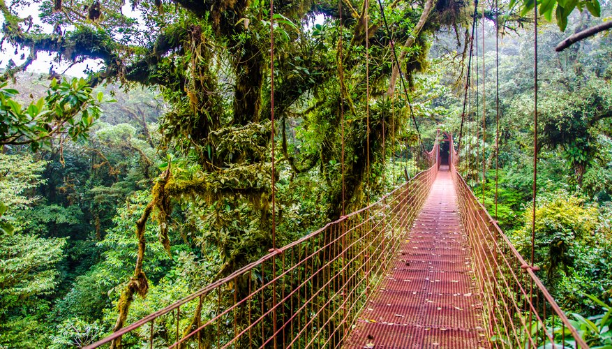 Best Time To Visit Costa Rica 10best