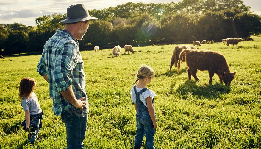 the-disadvantages-of-a-family-farm-gone-outdoors-your-adventure-awaits